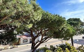 Joli Studio Calvi 50M Plage